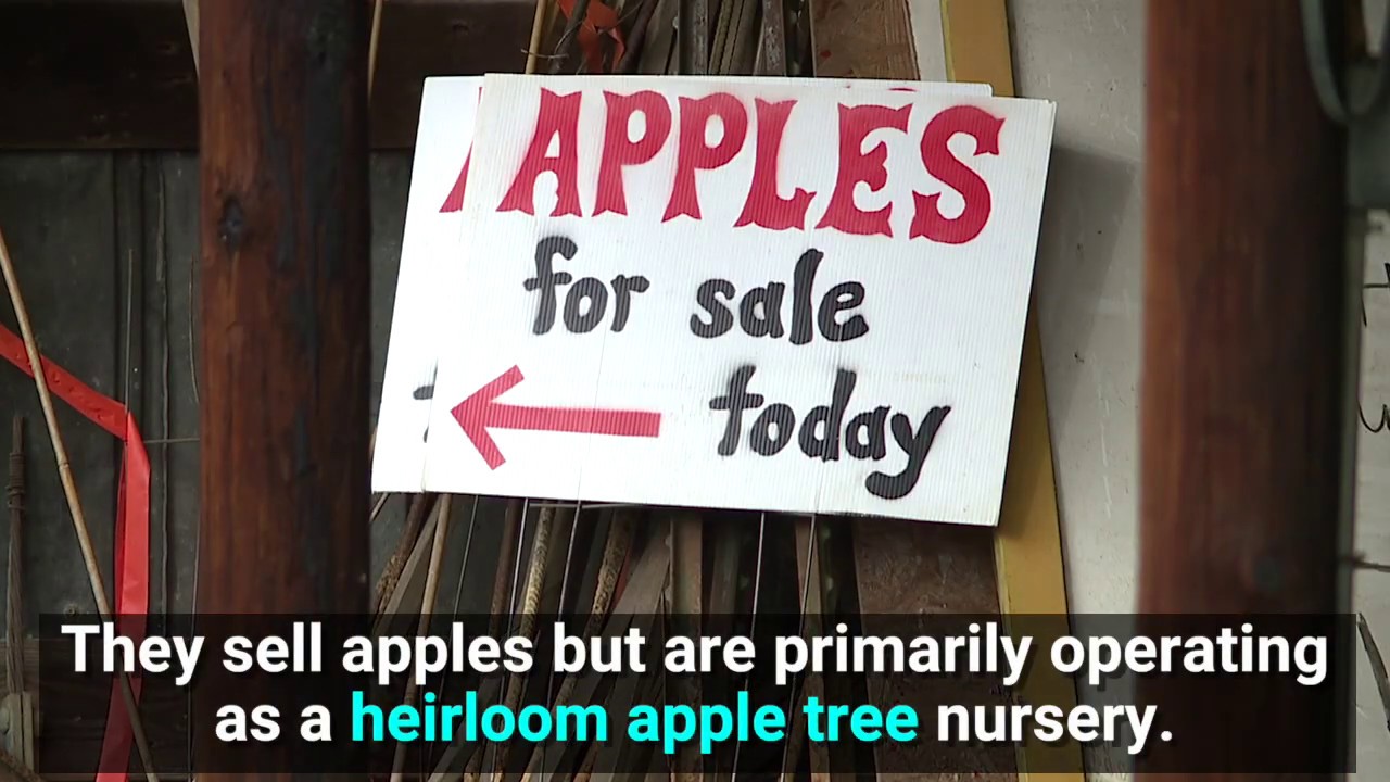 Caswell County man operates business specializing in heirloom apple trees