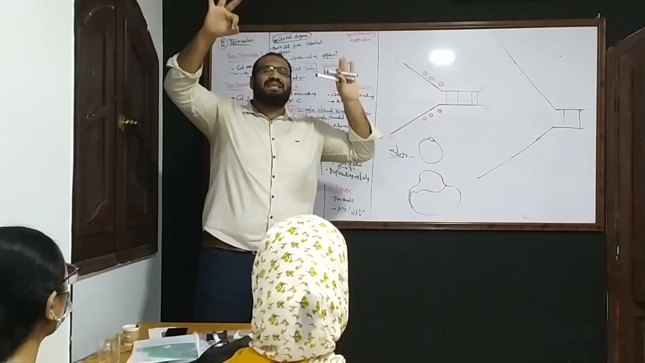 Biochemistry - 1st year - DNA replication I DNA repair