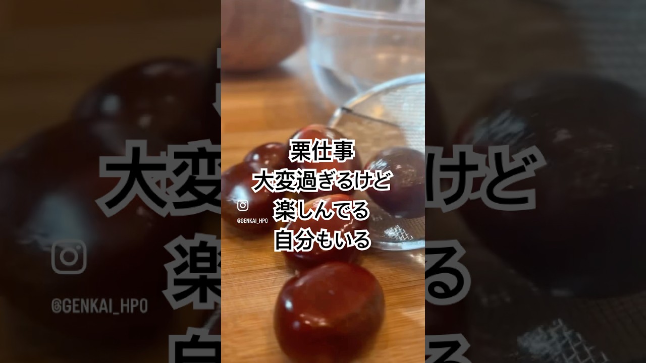 #栗拾い からの #栗仕事 #丁寧な暮らし ってこんなに大変なのね。#vlog #栗 #おうちカフェ #栗の下処理