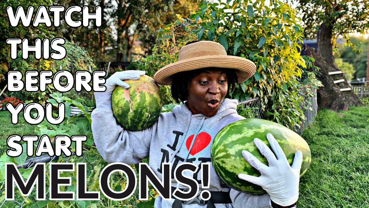 Start Melon Seeds the RIGHT Way! 🍉 Easy Tips for Growing Watermelon & Cantaloupe from Seed!