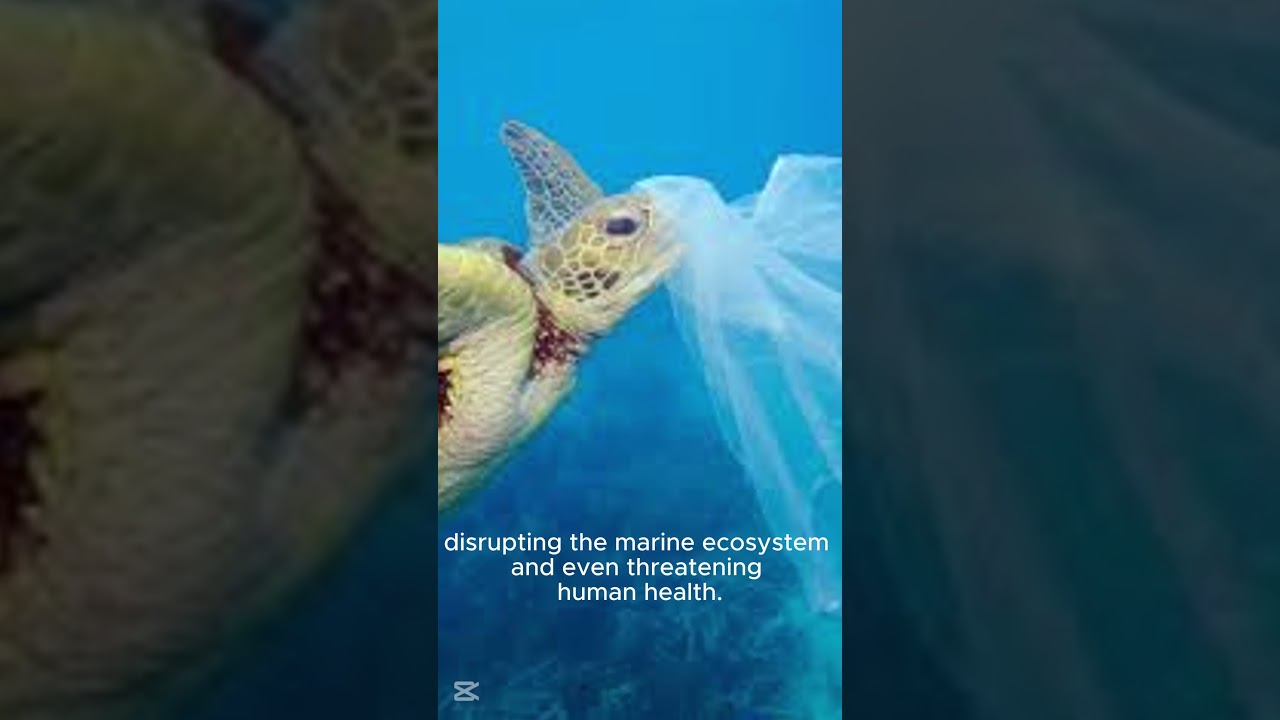 Terrible and Great Pacific Garbage Patch !! 