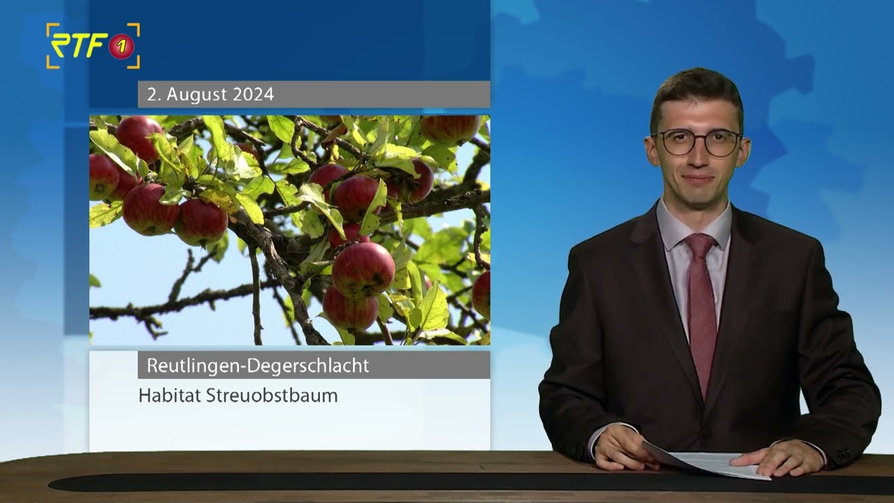 Lebensraum Streuobstwiese: Einblick in eine der artenreichsten Landschaftsformen Mitteleuropas