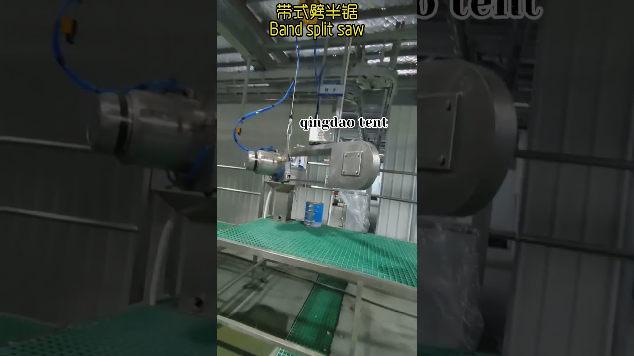 Cattle belt splitting saw  Cattle slaughtering equipment  
