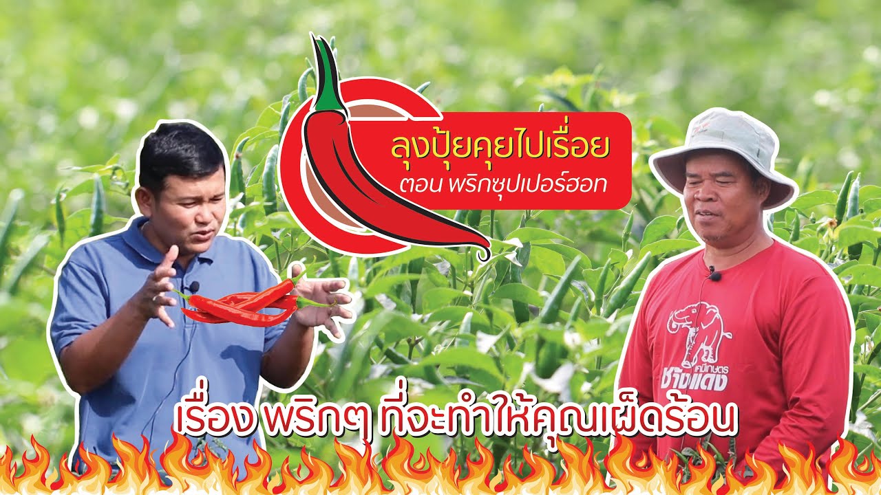 ลุงปุ้ยคุยไปเรื่อย  EP6 ตอน พริกซุปเปอร์ฮอท