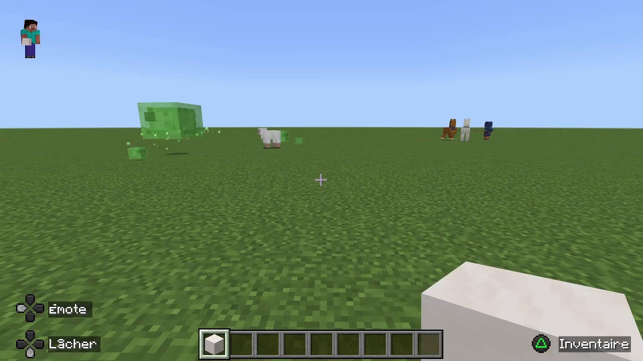 Petit live retour : MINECRAFT