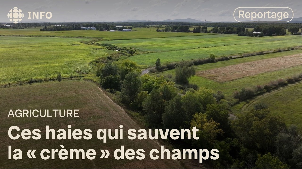 Les bénéfices des arbres à la ferme | La semaine verte