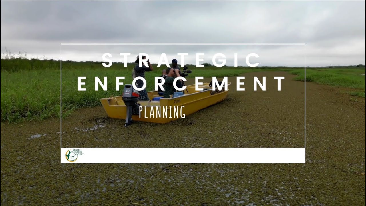 STRATEGIC ENFORCEMENT PLAN