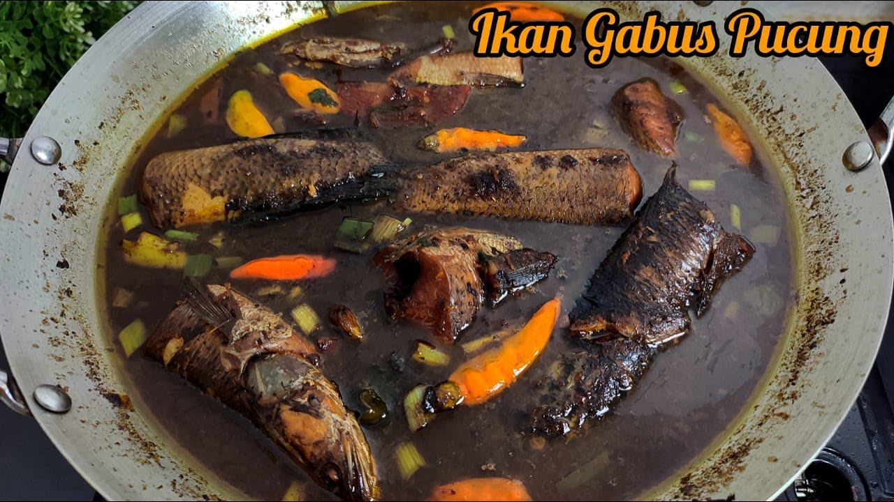 Ikan Gabus Pucung Yang Rasanya Nampol Banget..!! | Masakan Betawi
