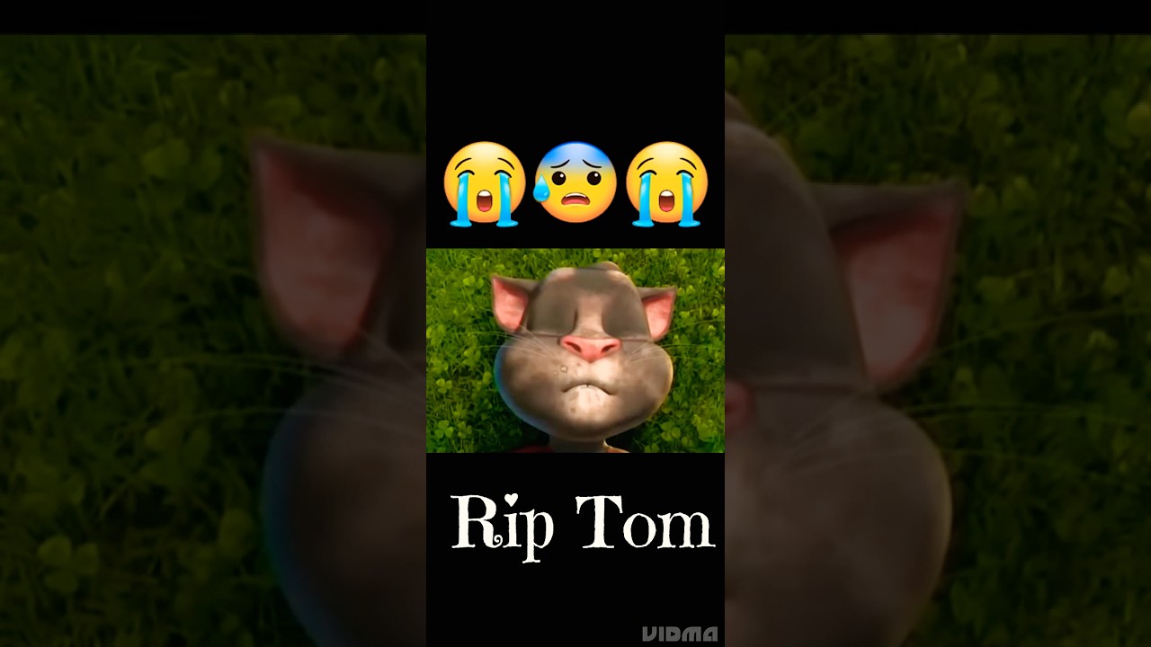 Talking Tom R.i.p 😭 #talkingtom #shorts