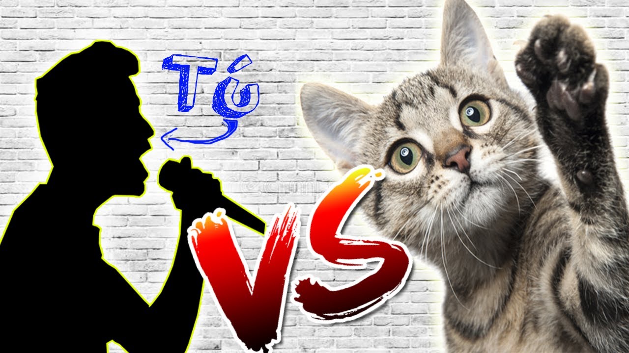 T&uacute; Vs➜ Tu Gato/Batallas De Rap T&uacute; Vs #12 (Practica de Freestyle)