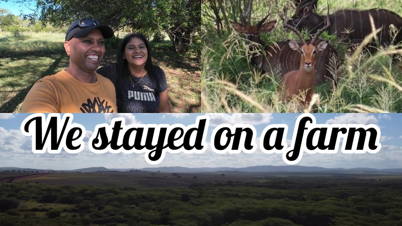 First time ever in Hluhluwe || Staying on a working game farm || Lunch at Richards Bay