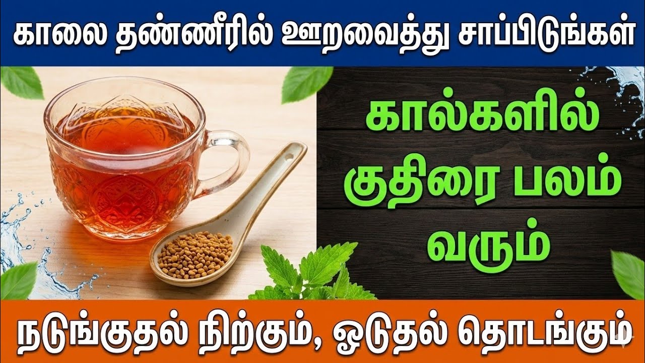 மூத்தவர்களின் கால்களுக்கு வலிமை தரும் 5 சக்திவாய்ந்த பாரம்பரிய உணவுகள்: வலி, பிடிப்பு, பலவீனம்—எல்லா
