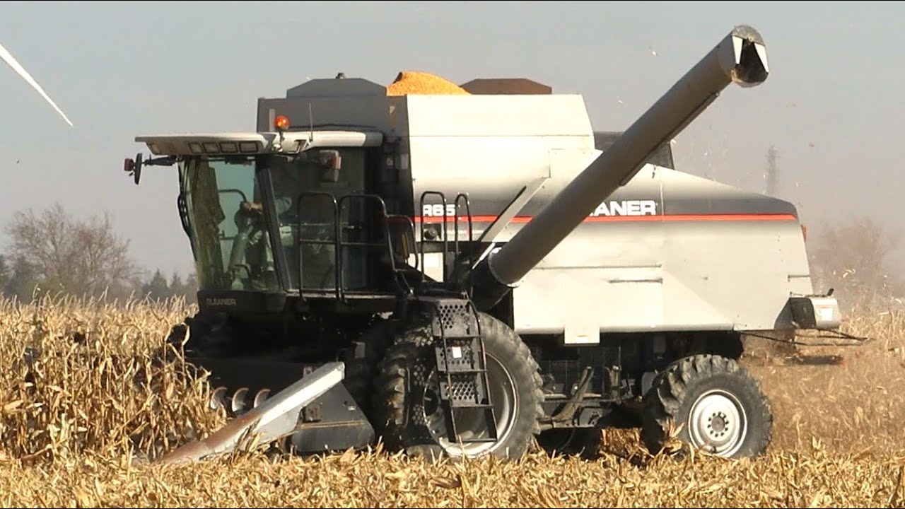 Corn Harvest 2020 | Gleaner R65 Combine Harvesting Corn | Ontario, Canada