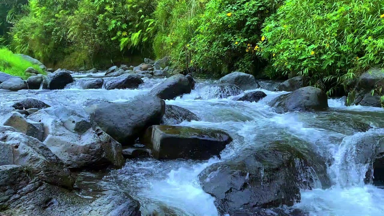 Relaxing Water Sounds for Sleep, Focus, and Mindfulness