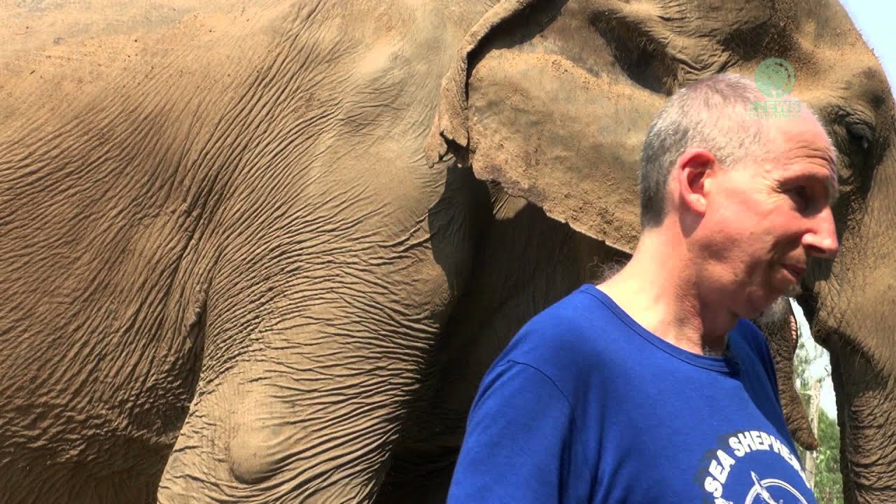 Yai-Bua Rescue