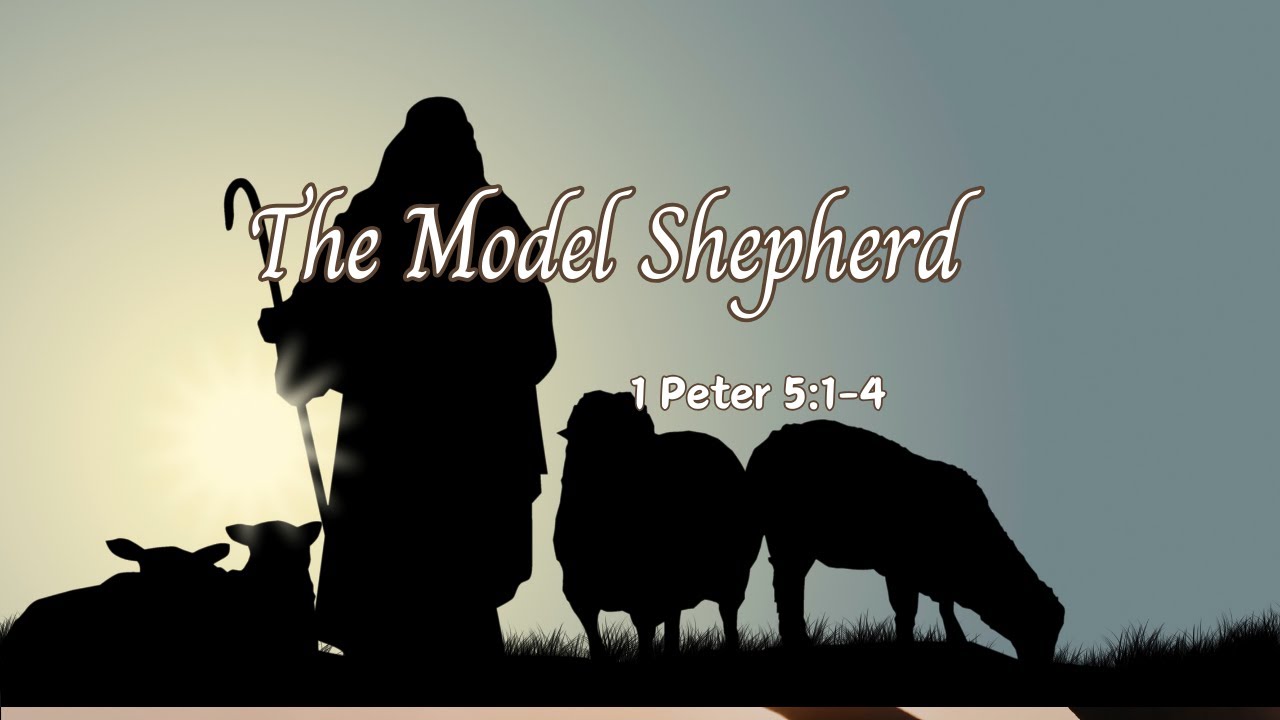 The Model Shepard