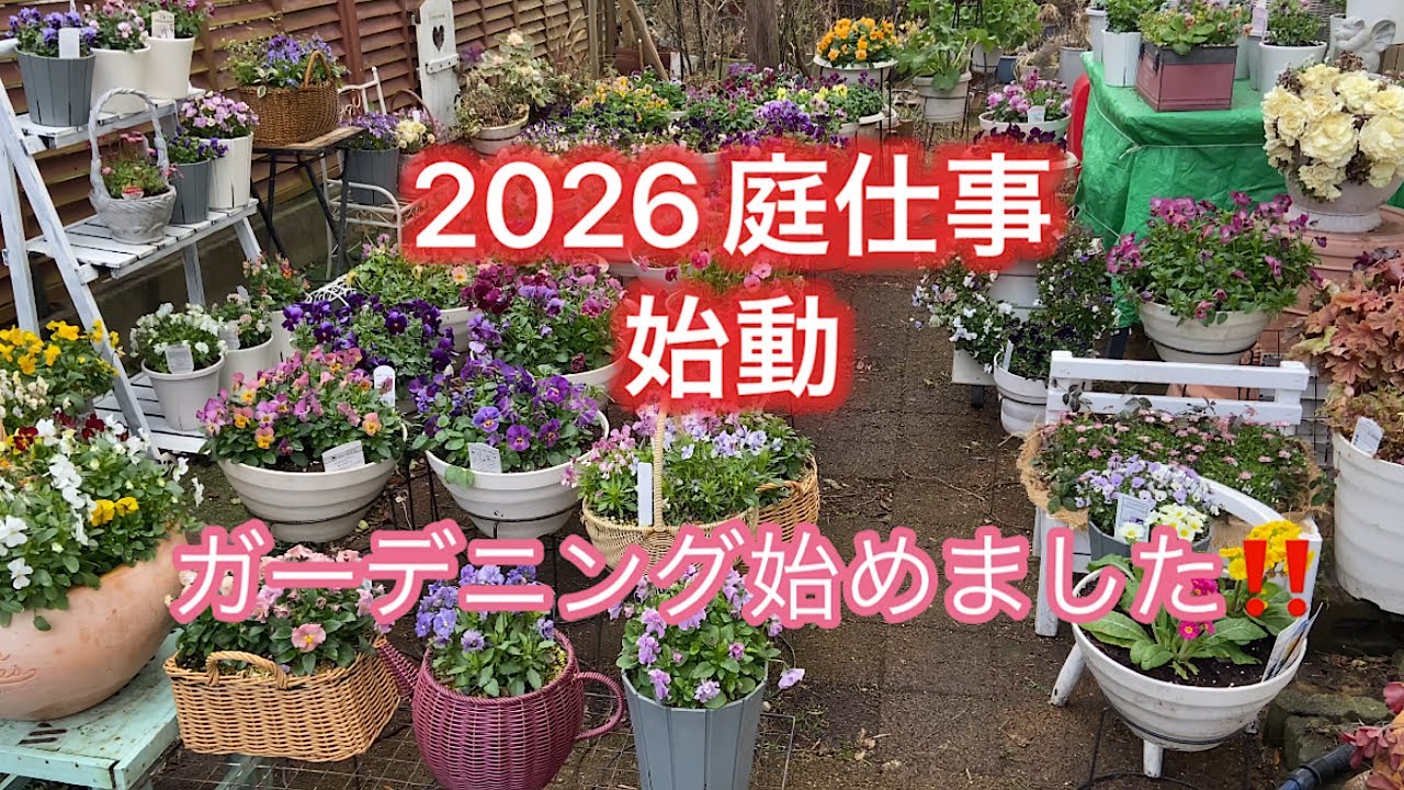【2026庭仕事始動です】冬が終わりました。ひろなガーデン始まります。