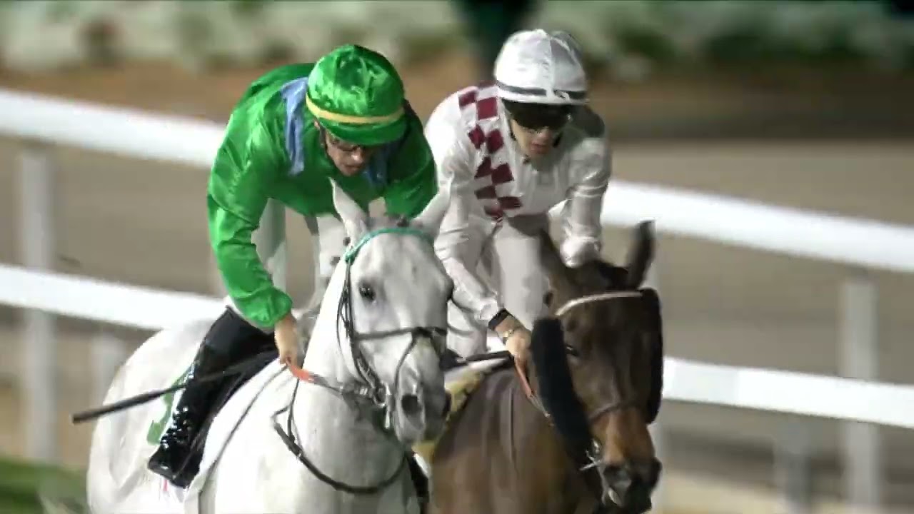The Saudi Cup 2026 (Fri 13th Feb) Race 8 - AL MNEEFAH CUP