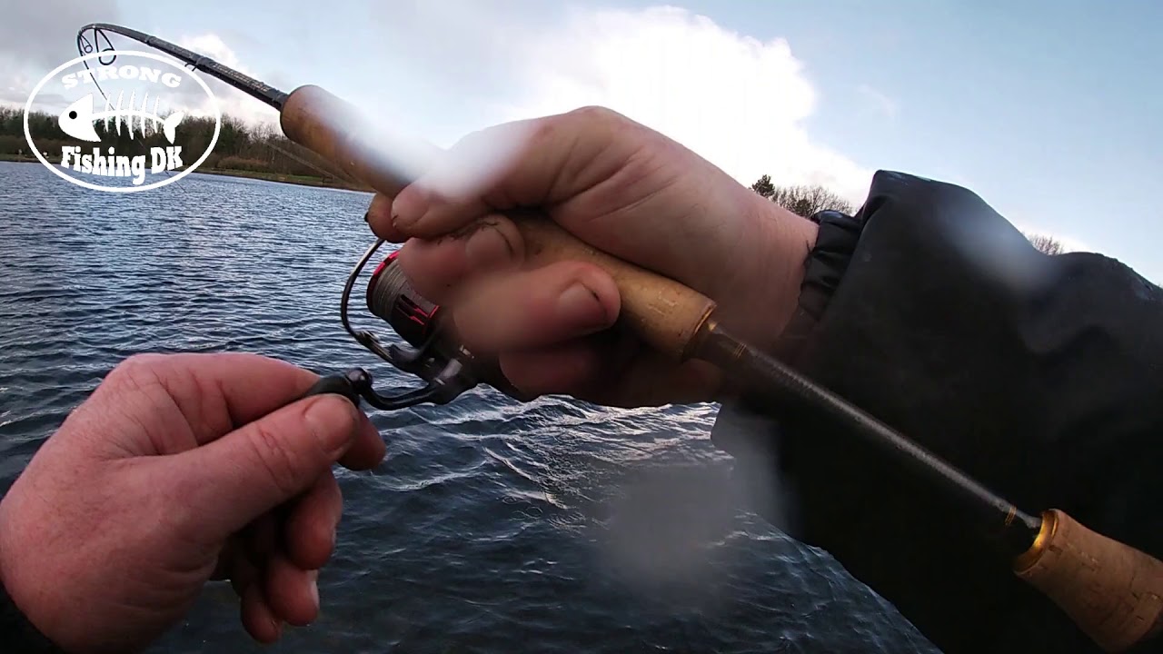Bonanza fiskeri i Arrild