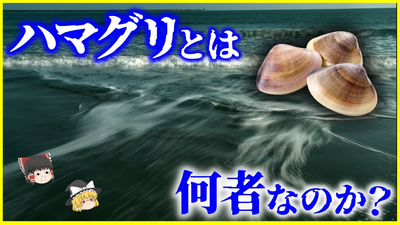 【ゆっくり解説】数百年生きる&hellip;!?「はまぐり」とは何者なのか？を解説/あれもこれもハマグリ!?雀海中入って蛤となる
