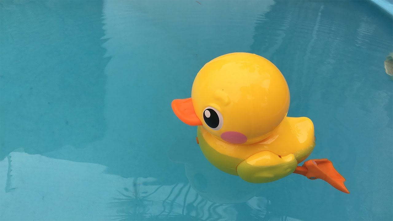 O PATO ROBÔ QUE ANDA E NADA NA PISCINA!!