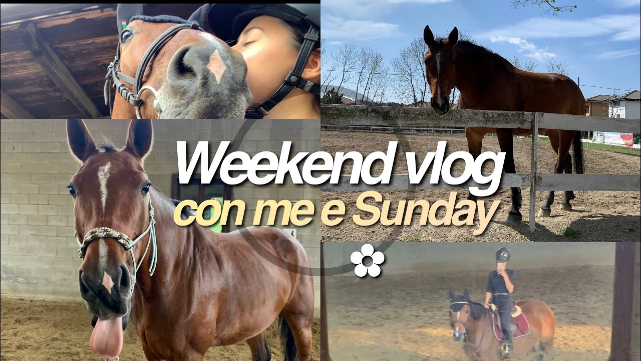 2 GIORNI AL MANEGGIO CON ME E SUNDAY | KP |