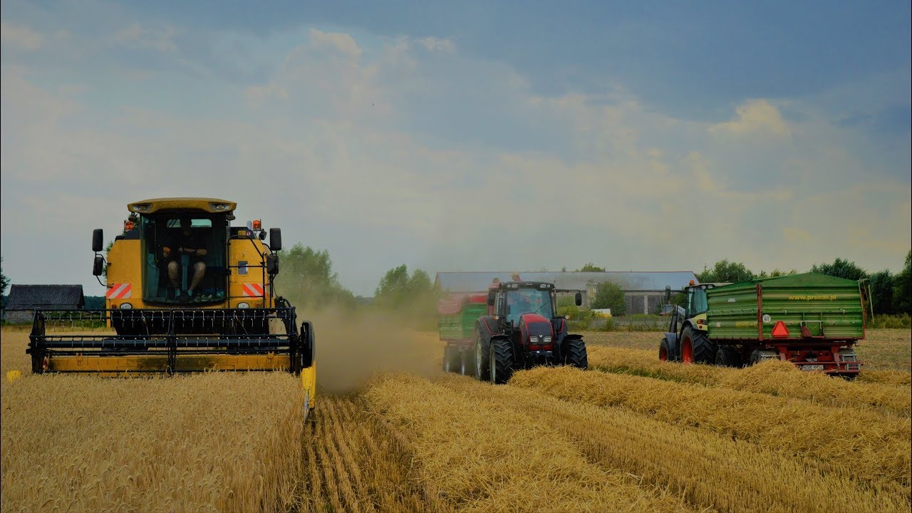 Żniwa 2019 | Pszenica & Pszenżyto | New Holland TC5050 | TheAgriPL