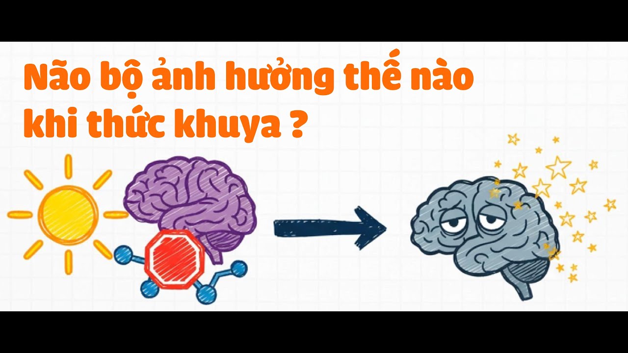 Não Bộ của bạn sẽ ra sao Khi Thức Trắng Đêm ? - TRÁI ĐẤT BAO LA