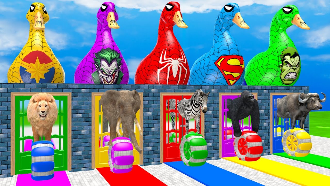 Long Slide Game With Elephant Lion Zebra Gorilla Buffalo 3d Animal Cage Game Funny 3d Animals