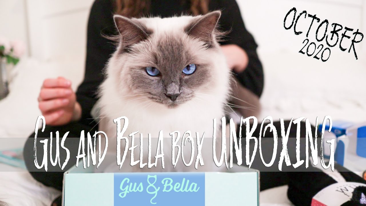 Gus and Bella box UNBOXING October 2020| Ragdolls Pixie and Bluebell