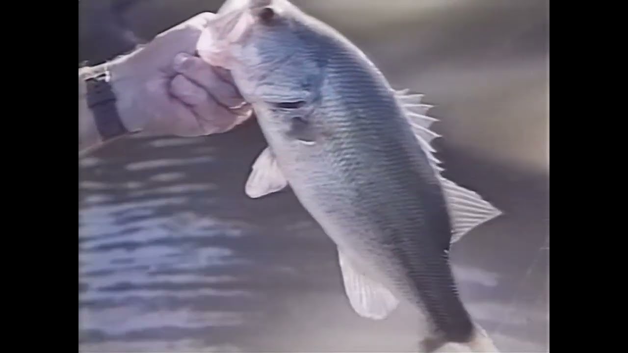 Larry Nixon - River Bass Fishing