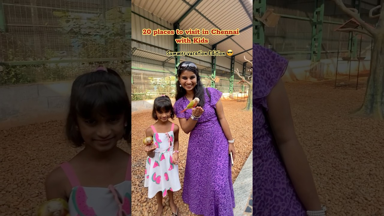 20 Places to visit in Chennai. Part -2 #chennai #tamilshorts #kidstravel