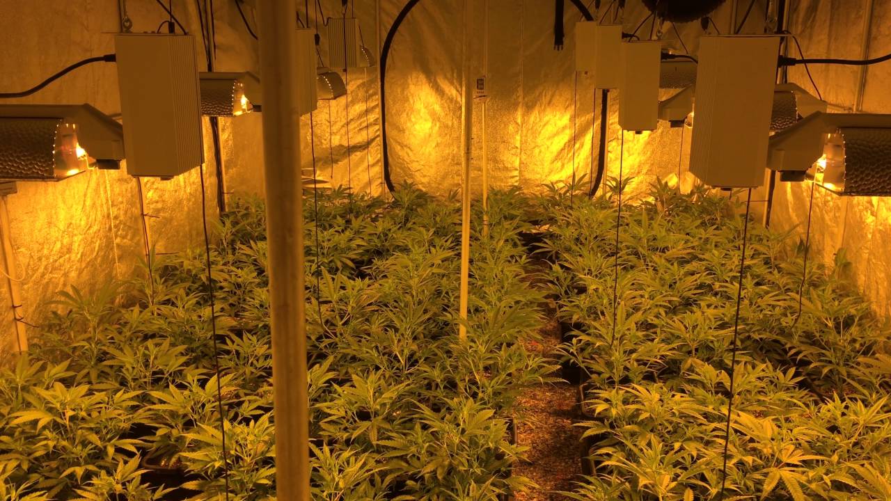 Elite 6000 Mammoth CO2