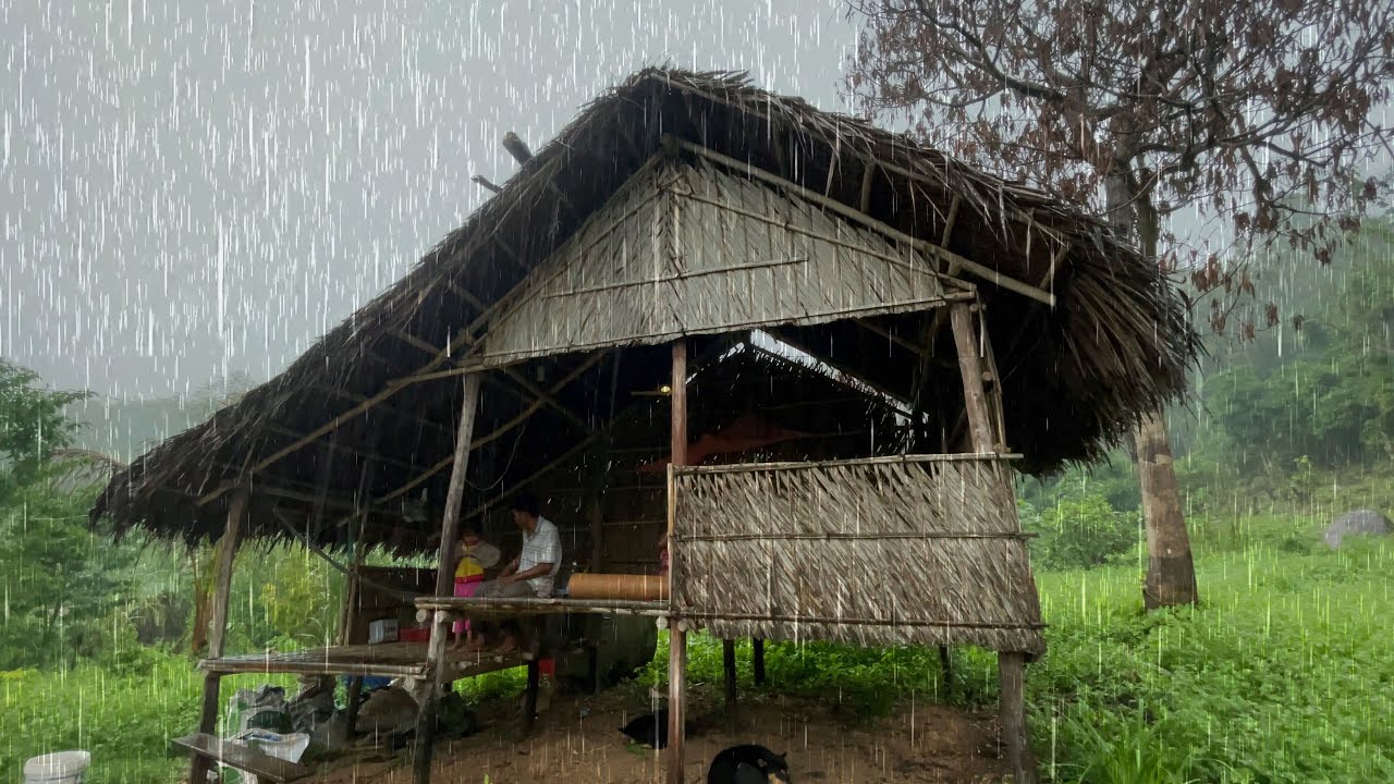 ខស្វាយត្រីស្ពង់មានរស់ជាតិឈ្ងុយឆ្ងាញ់ Psammoperca Vaigiensis/Waigieu Seaperch at Night 4K RAIN VIDEO