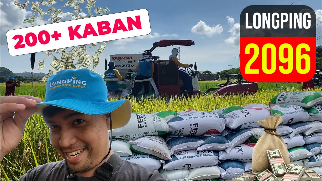 LONGPING 2096 UMANI NG 200+ PAANO ANG GINAWA? / MAGANDA BA ANG LP2096?