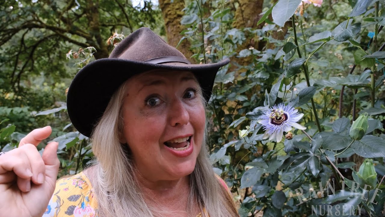 Raintree Nursey's Passionfruit Growing Guide