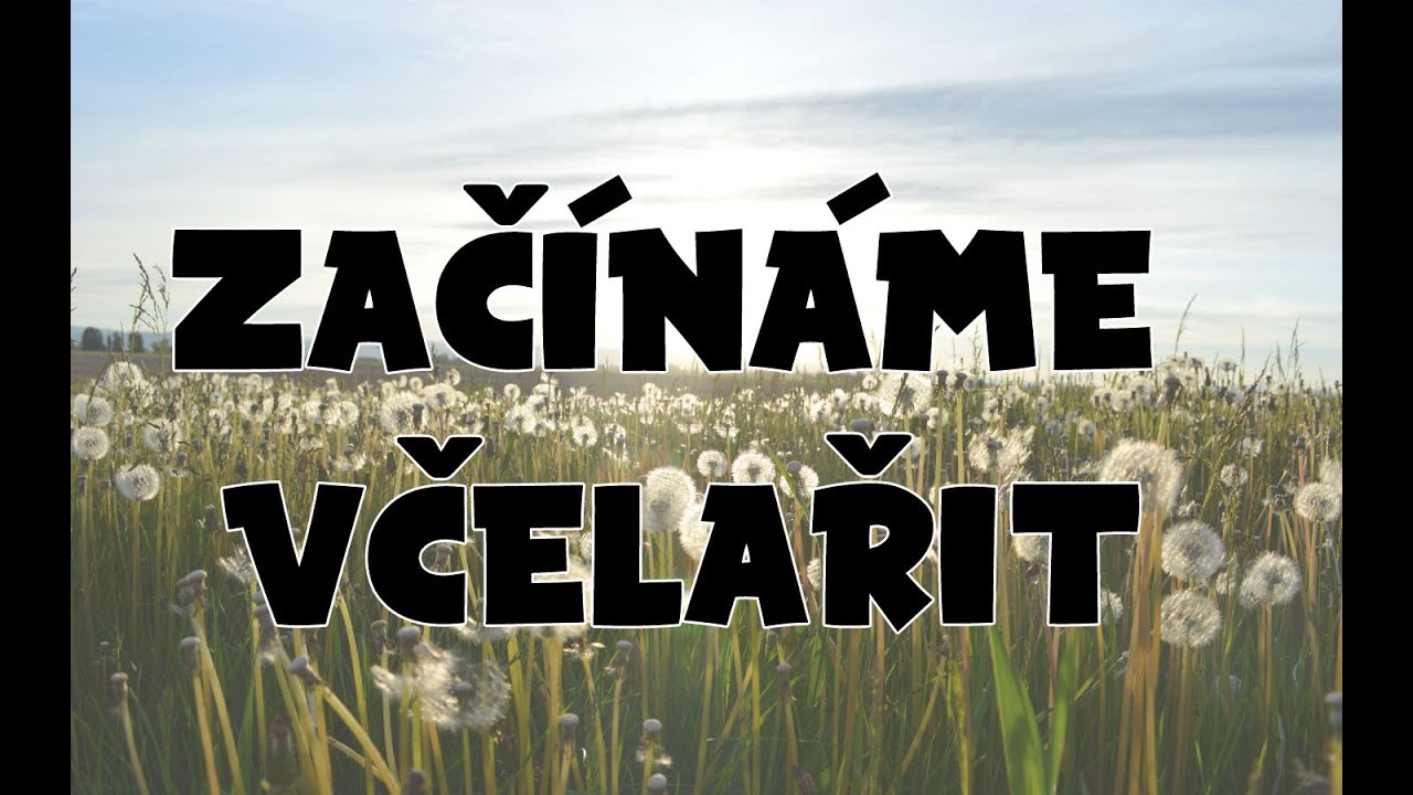 Začínáme včelařit | Včelařství MaBo