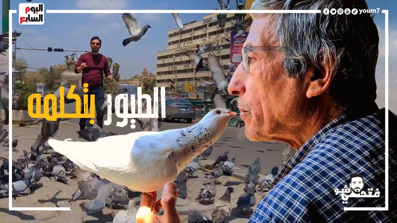 حبيب الطيور .. بيجيله 1000 طير لبلكونه بيته يوميا لهذا السبب العجيب