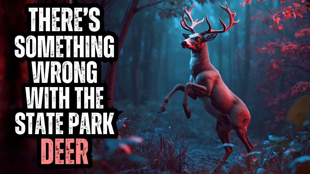 Something is WRONG with the DEER at the Nature Preserve