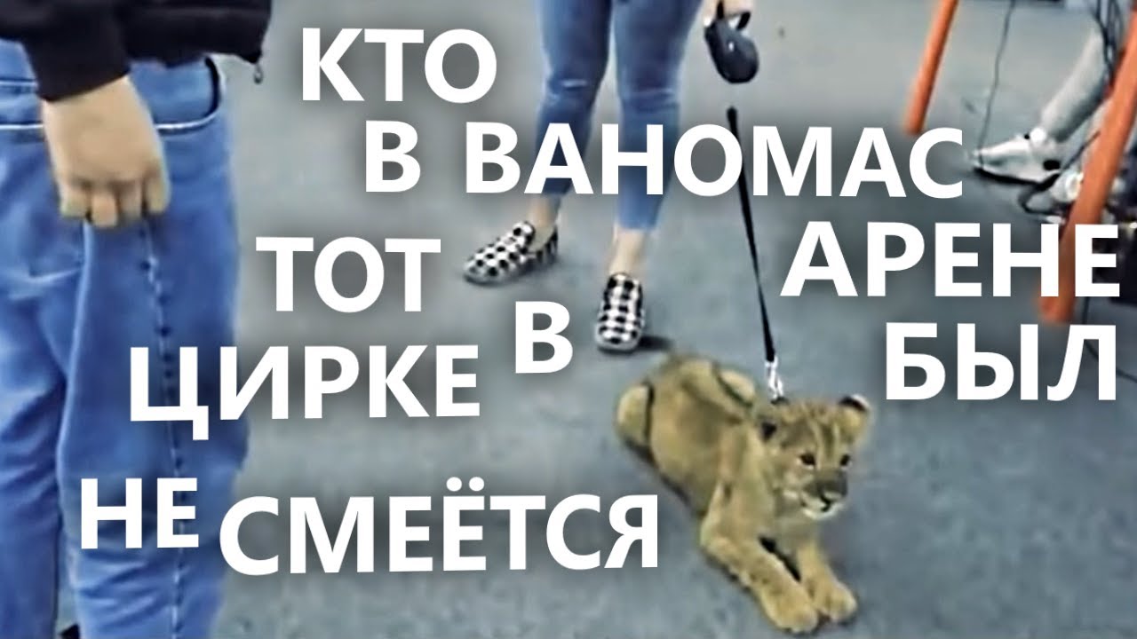 Все песни Ромчитоса про Ваномас Арену