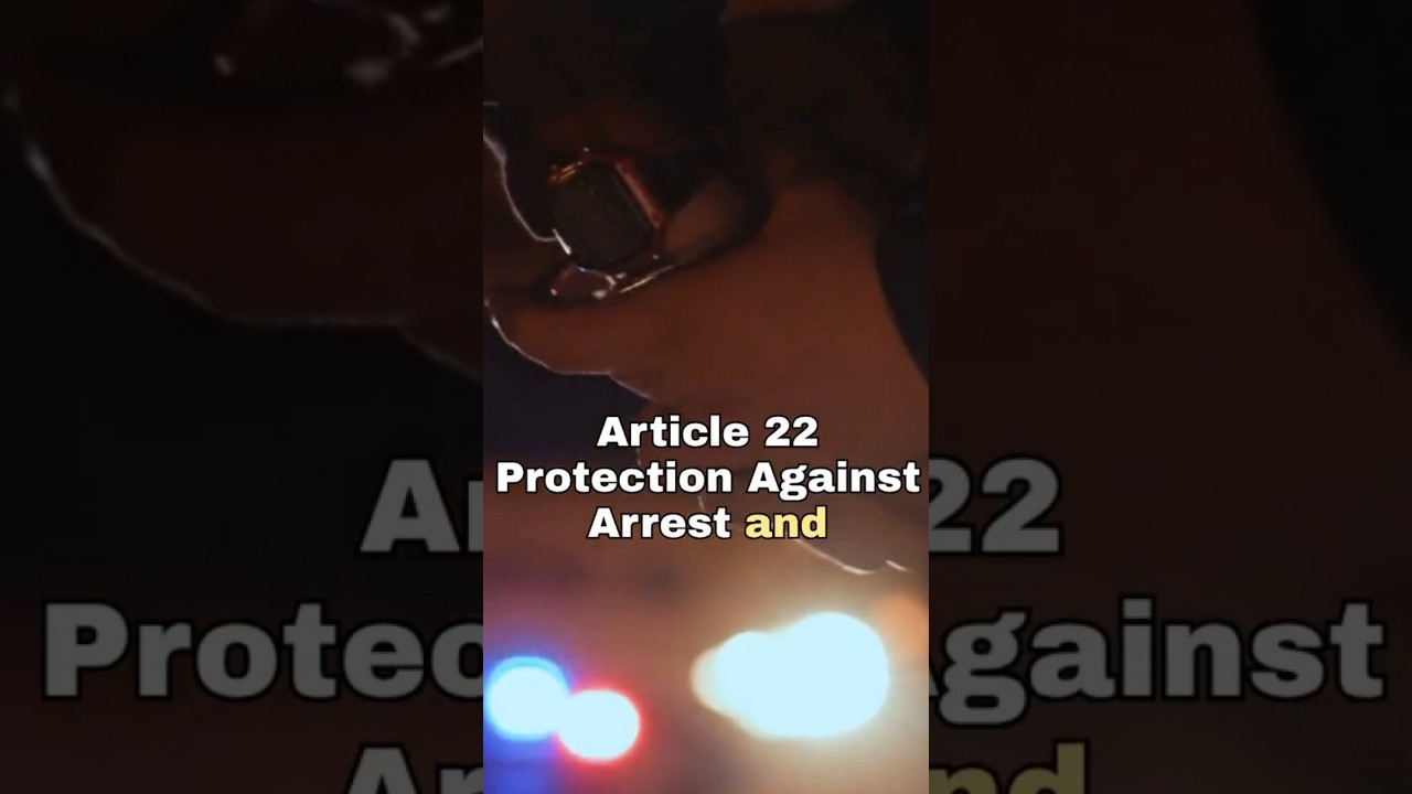 Article 22 | Protection Against Arrest and Detention