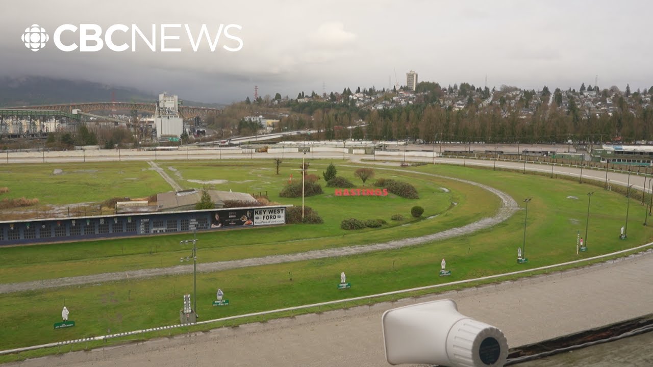 Horse racing community hatches plan to keep Hastings Racecourse open for now