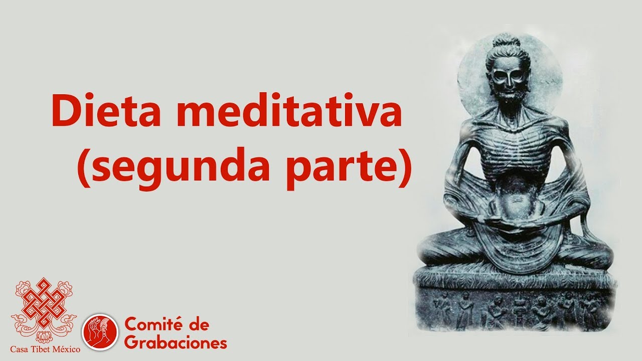 Dieta meditativa (segunda parte)