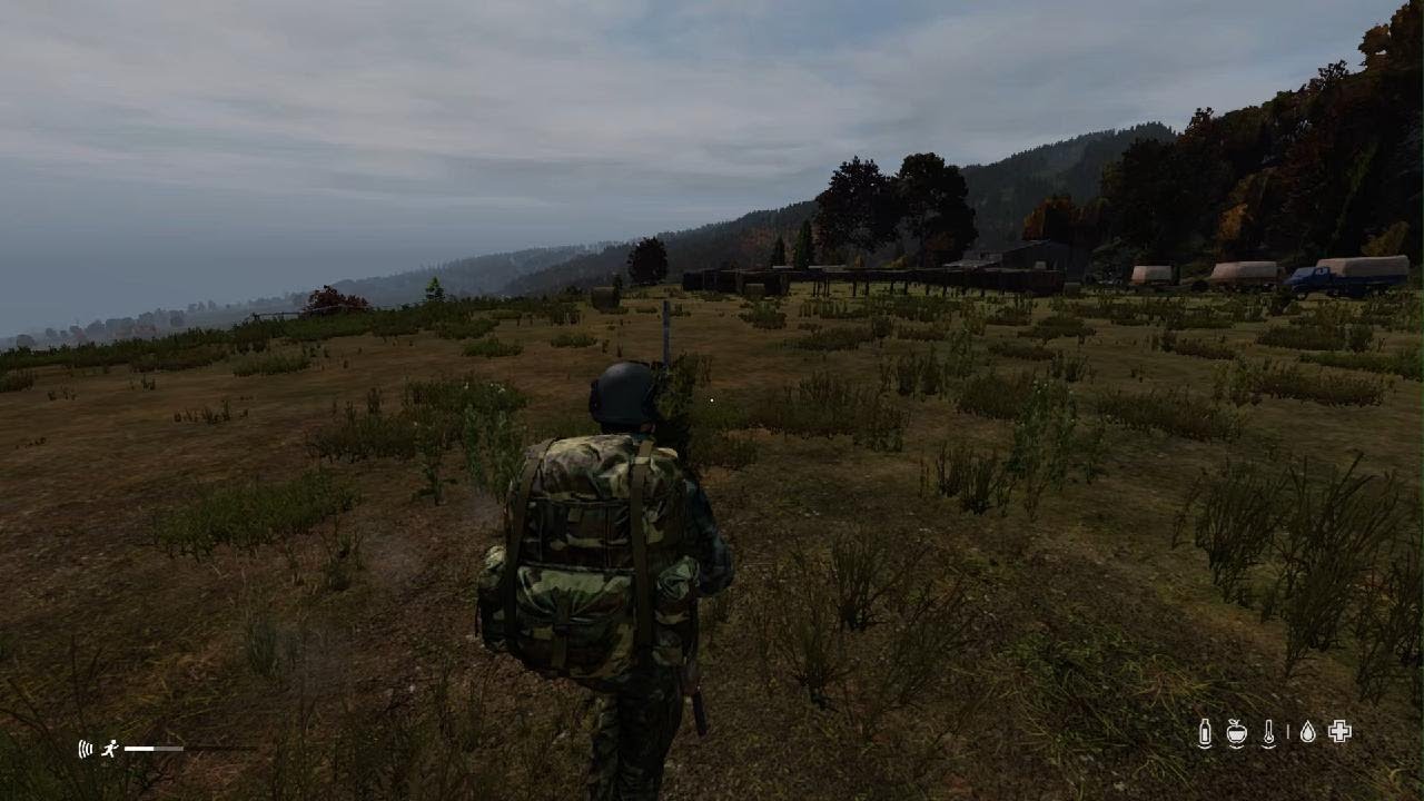 DayZ broken leg