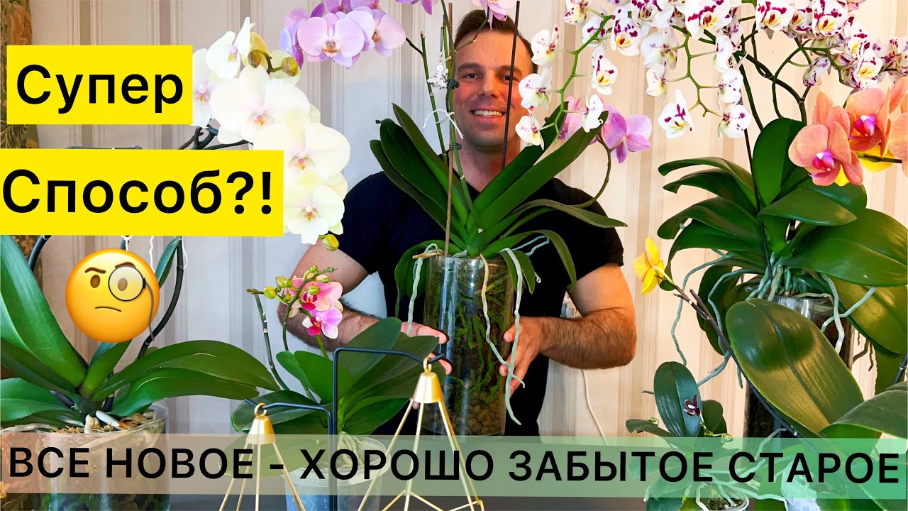 ОТКРЫТАЯ СИСТЕМА для ОРХИДЕЙ и КОРНИ НИКОГДА не будут ГНИТЬ? Так ли это? Мое мнение.