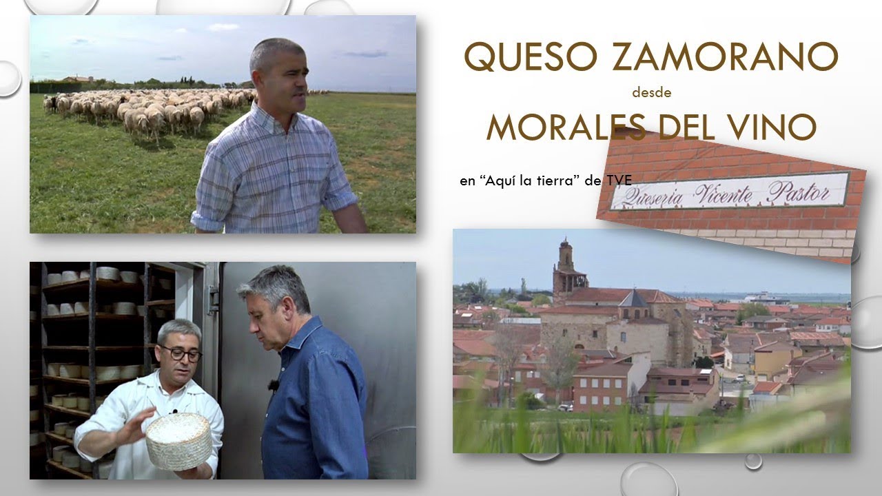 Un reportaje de 
