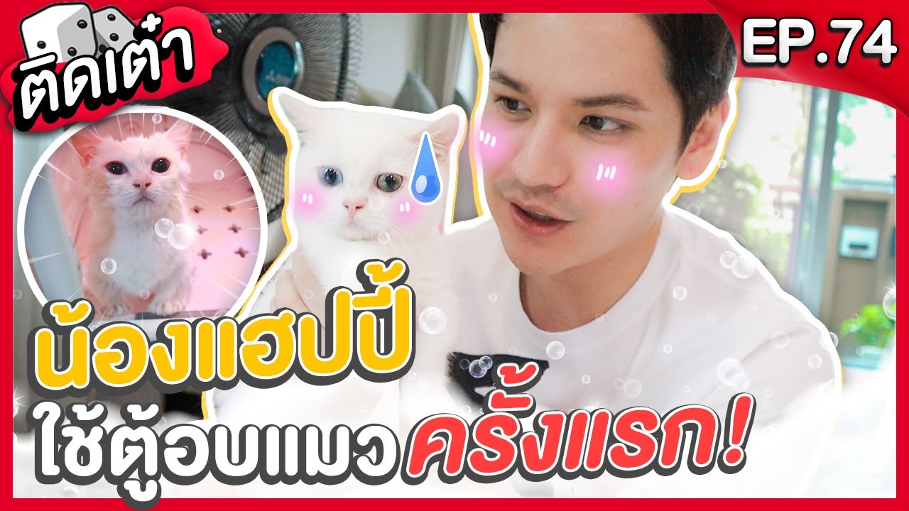 ติดเต๋า EP.74 | อาบน้ำให้แฮปปี้ครั้งแรกไร้รอยข่วนด้วยตู้เป่าขนแมวอัตโนมัติ!! 🐱