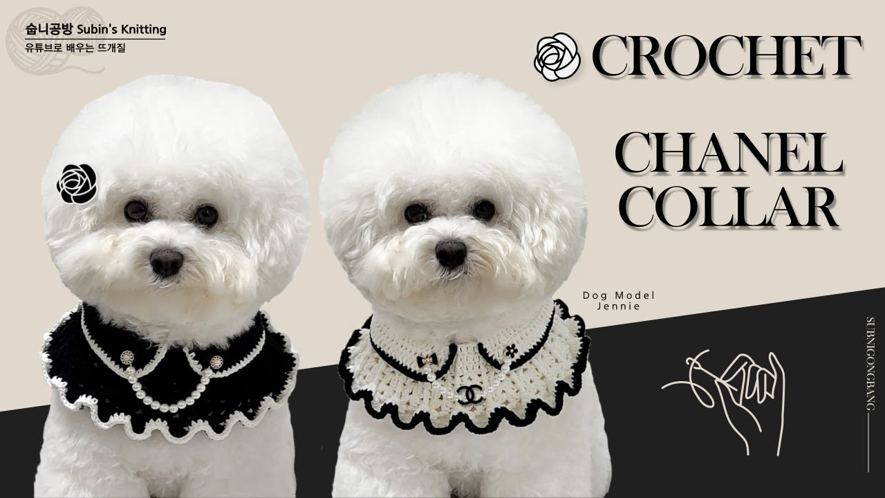 ENG SUB)[숩니공방] 코바늘 샤넬 케이프 만들기 / 강아지케이프 / 고양이케이프 / dog chanel crochet collar