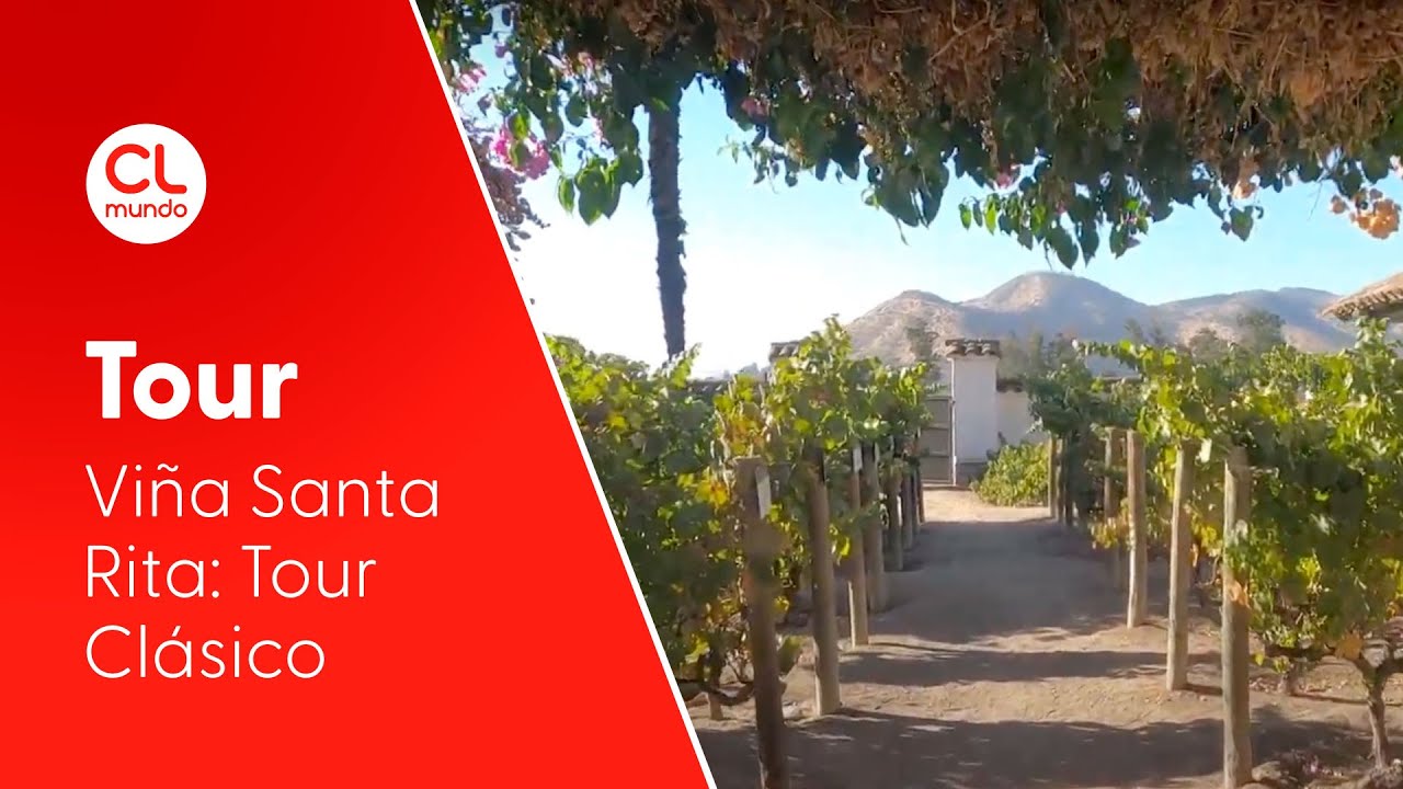 Viñedos del Maipo - Viña Santa Rita: Tour Clásico