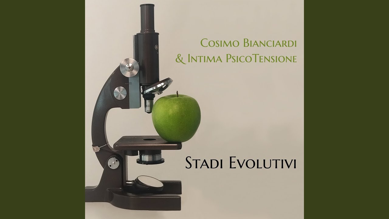 Stadi Evolutivi